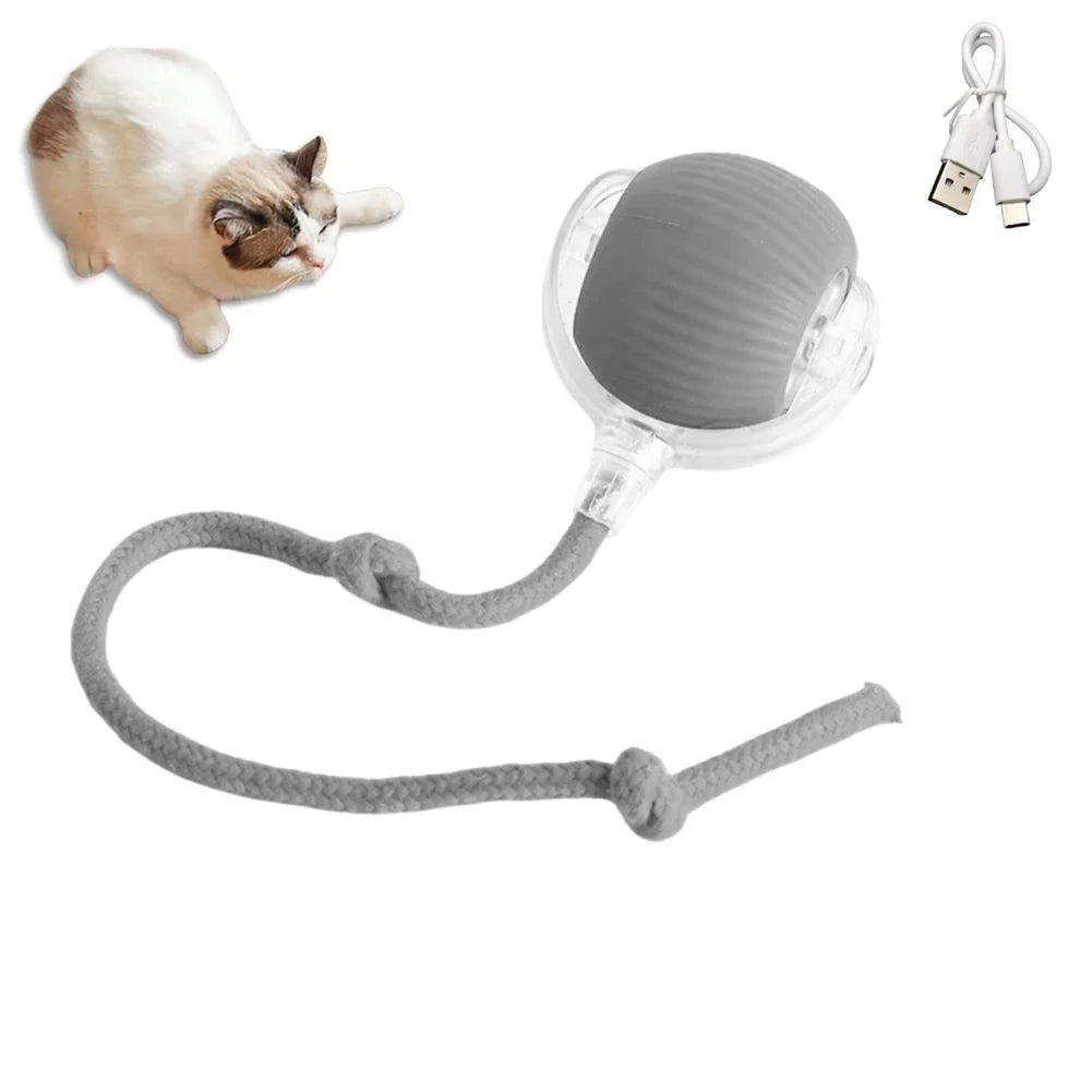 Automatic Rolling Cat Toy Ball – Smart USB Rechargeable Teaser