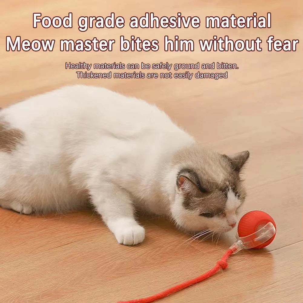 Automatic Rolling Cat Toy Ball – Smart USB Rechargeable Teaser
