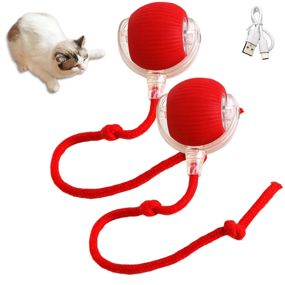 Automatic Rolling Cat Toy Ball – Smart USB Rechargeable Teaser