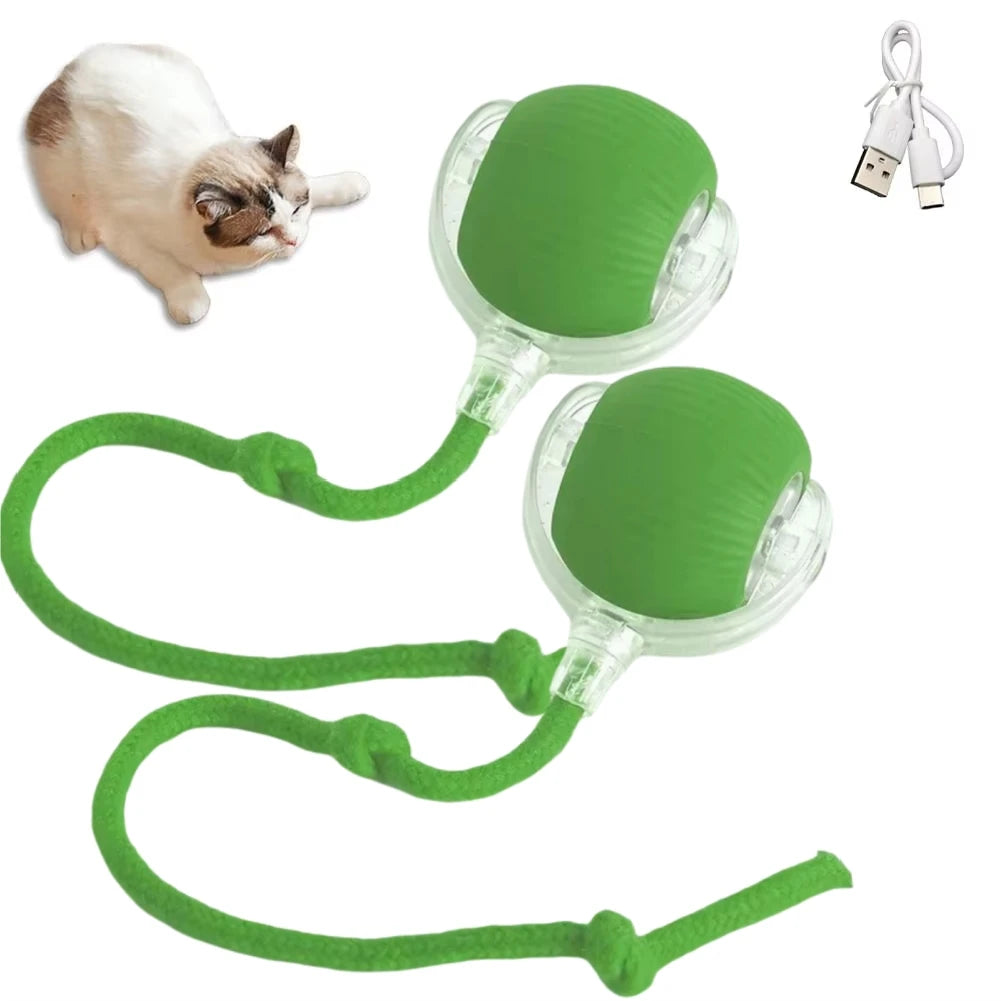 Automatic Rolling Cat Toy Ball – Smart USB Rechargeable Teaser