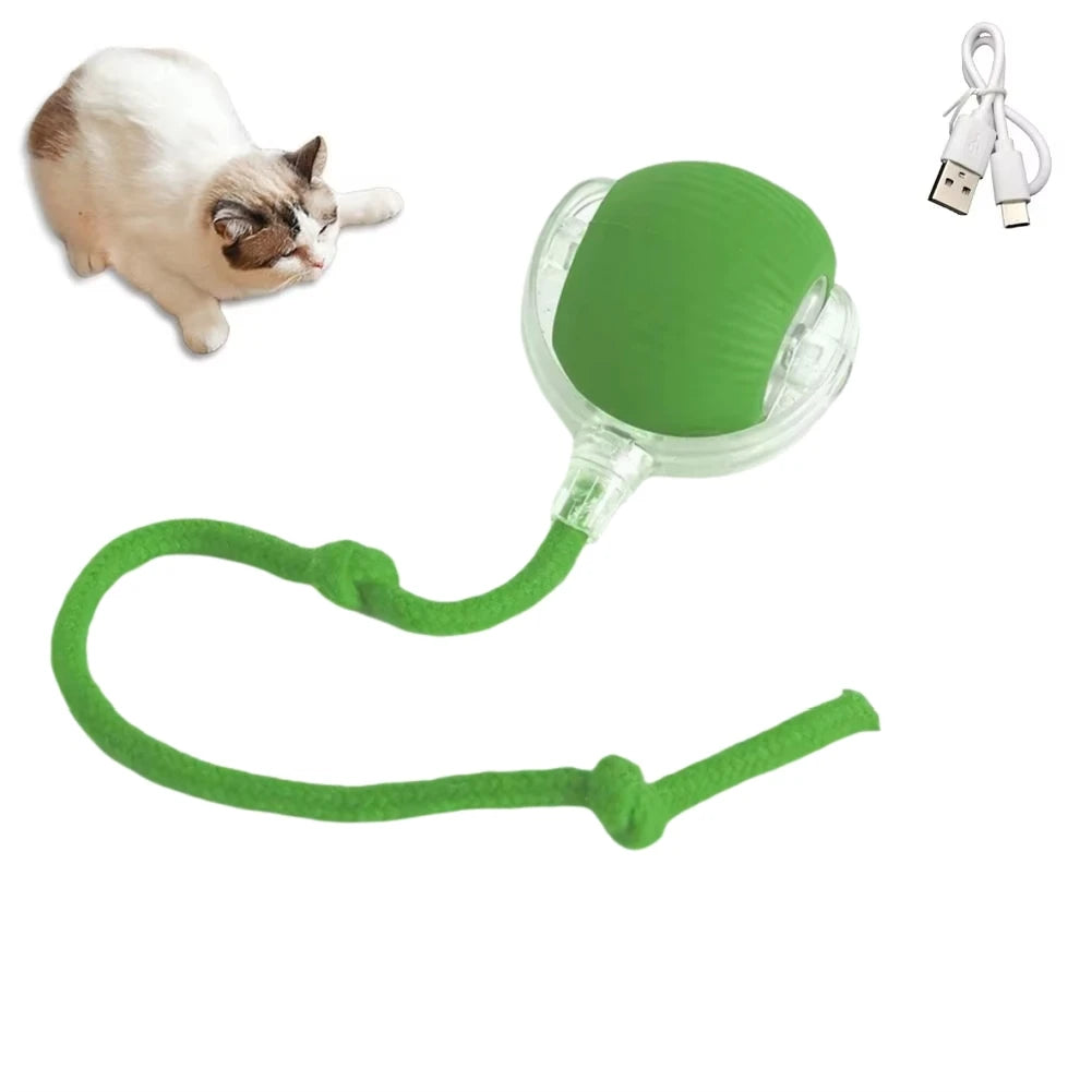 Automatic Rolling Cat Toy Ball – Smart USB Rechargeable Teaser