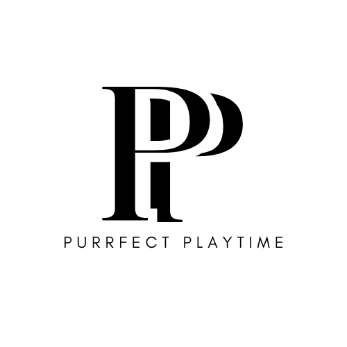 Purrfect Playtime